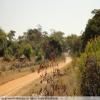 Percorso Motociclistico backroad-from-bulawayo-to- photo