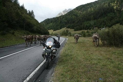 nufenenpass--valais--