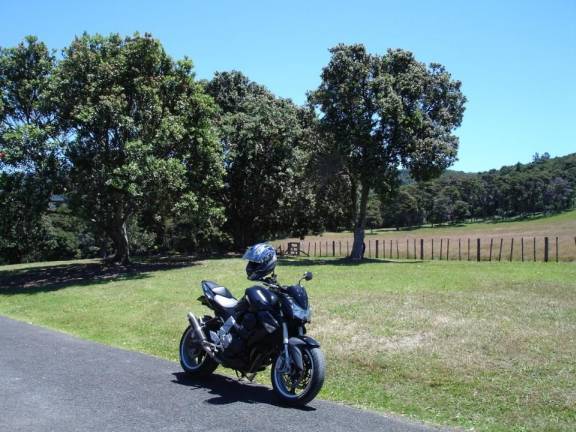 hunua-circuit-