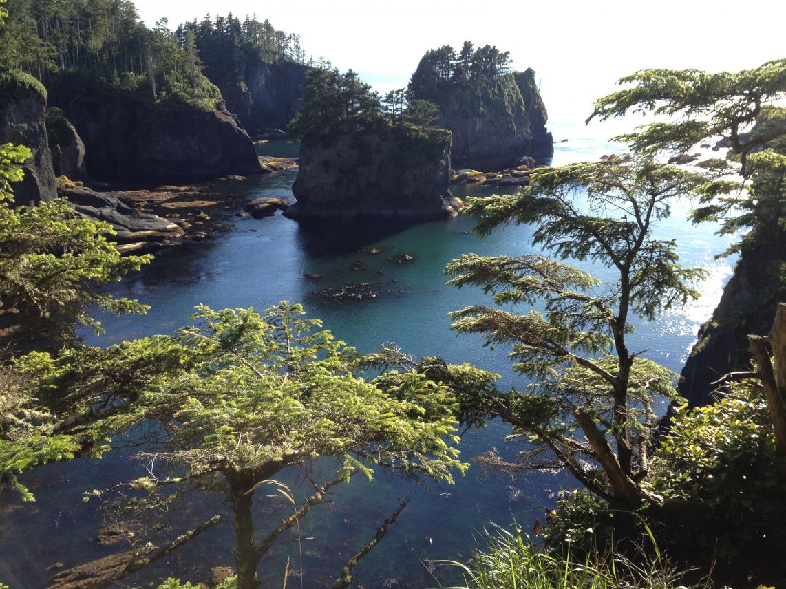 olympic-peninsula-