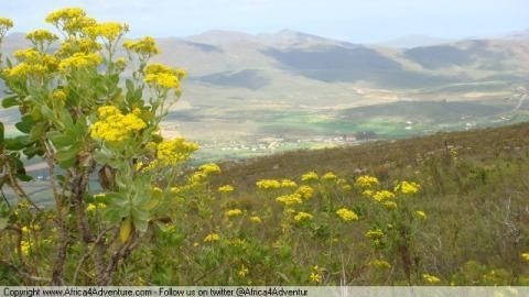 swartberg-pass-