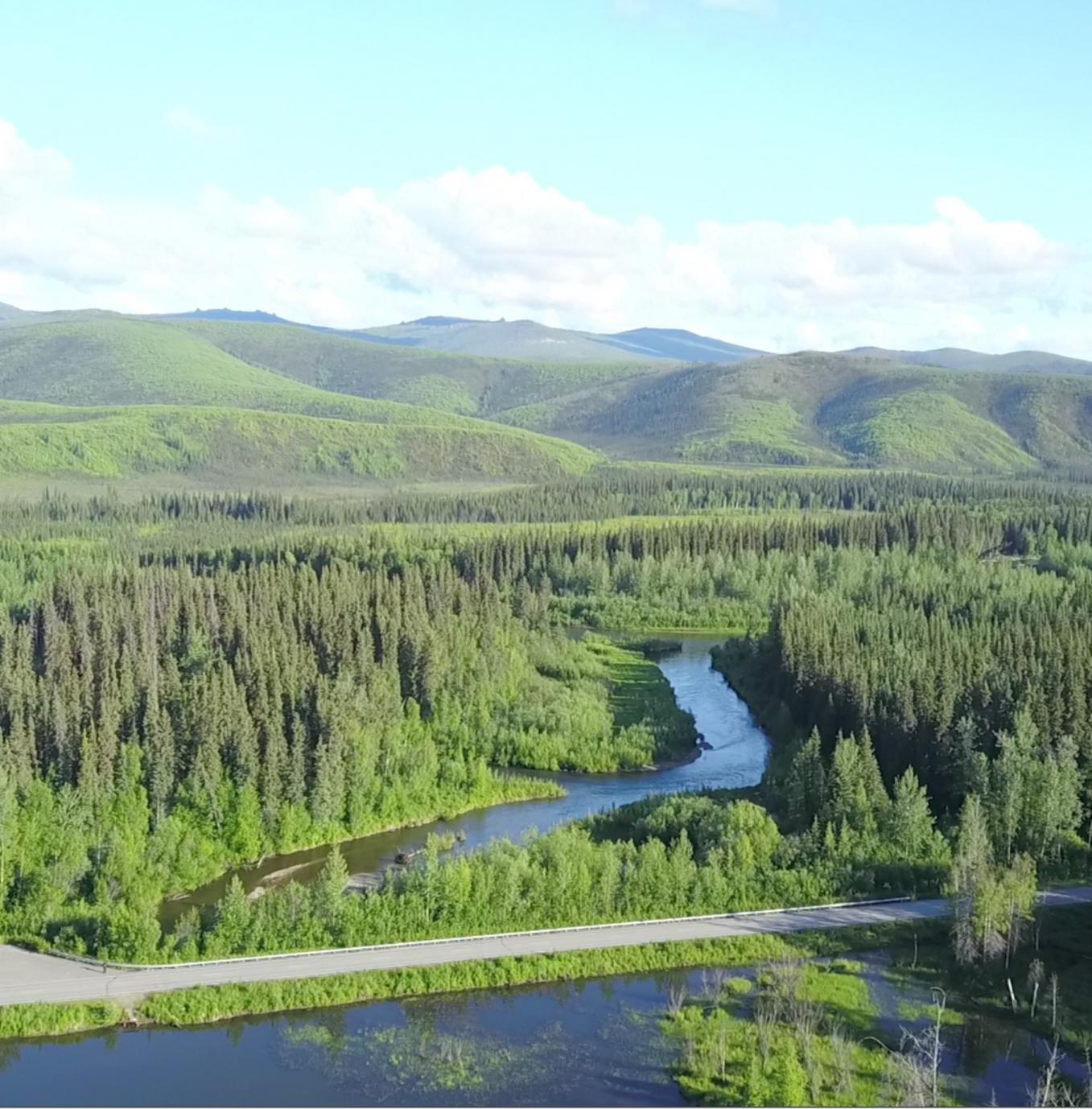 chena-hot-springs-road-