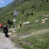 Percorso Motociclistico d918--col-d-aspin- photo