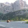 Itinerari Moto ss243--passo-di- photo