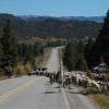 Itinerari Moto us-64--tres- photo