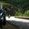 Percorso Motociclistico d901--les-vans- photo