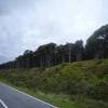 Percorso Motociclistico 6--greymouth-- photo