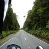 Itinerari Moto 73--arthur-s-pass- photo