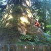 Percorso Motociclistico renfrew-to-cowichan- photo