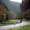 Itinerari Moto b48--annweiler-- photo