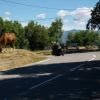 Itinerari Moto d2204--breil-sur-roya-- photo