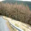 Percorso Motociclistico a483--llandovery-- photo