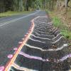 Percorso Motociclistico lismore--nimbin- photo