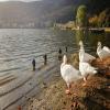 Itinerari Moto kastoria-panoramic-road- photo