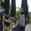 Percorso Motociclistico sacrario-del-monte-grappa- photo