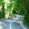 Percorso Motociclistico sp263--passo-dello- photo