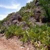 Percorso Motociclistico n10-taroudannt--ouarzazate- photo