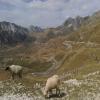 Percorso Motociclistico durmitor- photo