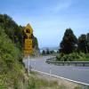 Percorso Motociclistico coromandel-circuit-nz_ttc-3-- photo