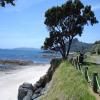 Itinerari Moto coromandel-circuit-nz_ttc-3-- photo