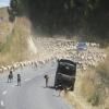 Percorso Motociclistico gentle-annie--omahu- photo