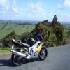 Itinerari Moto kaipara-to-leigh- photo