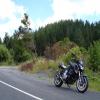 Itinerari Moto pokeno-to-raglan-the- photo