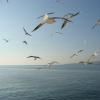 Percorso Motociclistico lake-iznik--istanbul- photo