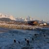 Itinerari Moto alaska--tour-from- photo