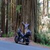 Itinerari Moto newton-b-drury-scenic- photo