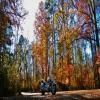 Percorso Motociclistico sumter-national-forest-2- photo