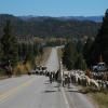 Itinerari Moto us-84--us- photo
