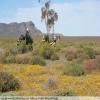 Itinerari Moto breede-river-to-sutherland- photo