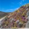 Itinerari Moto breede-river-to-sutherland- photo