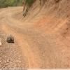 Itinerari Moto the-baviaanskloof- photo