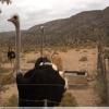 Itinerari Moto the-baviaanskloof- photo