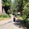 Itinerari Moto skaggs-and-hwy-1- photo
