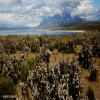 Itinerari Moto torres-del-paine- photo