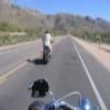 Itinerari Moto mount-lemmon-highway-- photo