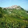 Itinerari Moto sp32--grinzane-cavour- photo