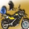 Motorcycle Traveller Avatar Image