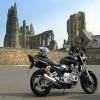 Motorcycle Traveller Avatar Image